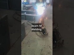 크레인 프로젝트와 함께 스리랑카 철강 작업장